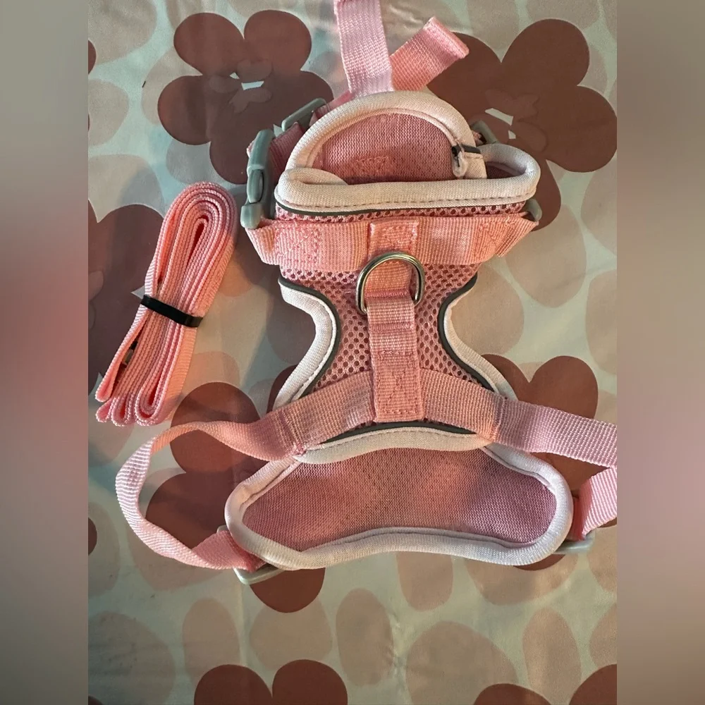 Cat Harness and Leash Set